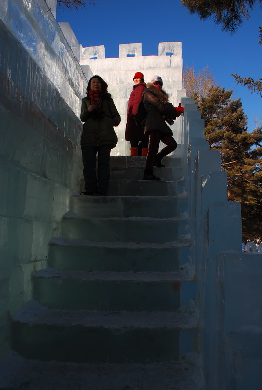 dsc_4206.jpg