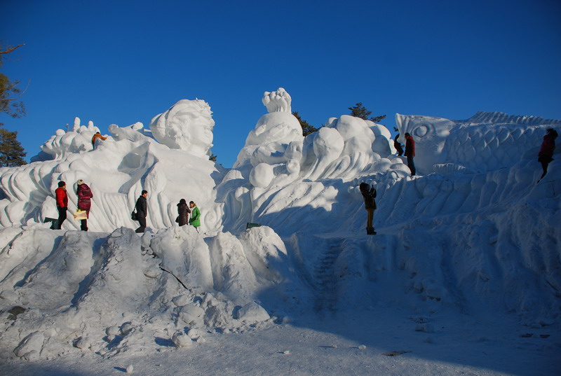 dsc_4236.jpg