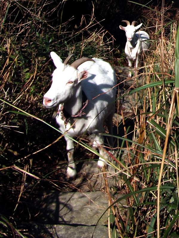 dscf0182.jpg