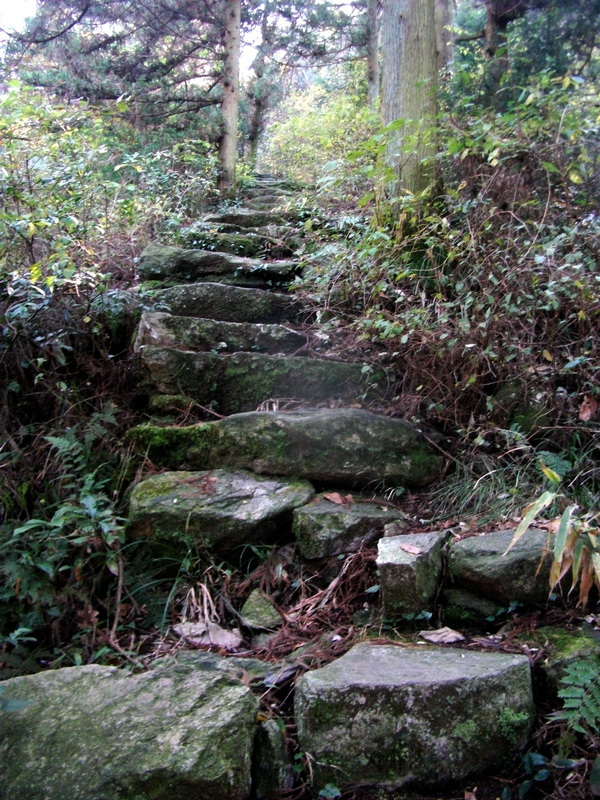 dscf0185.jpg