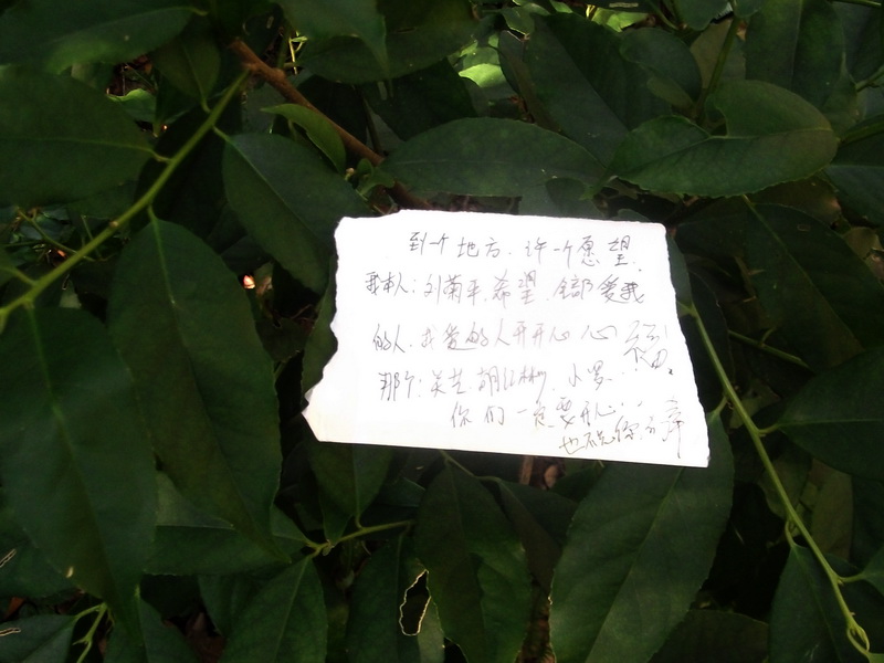 dscf0187.jpg