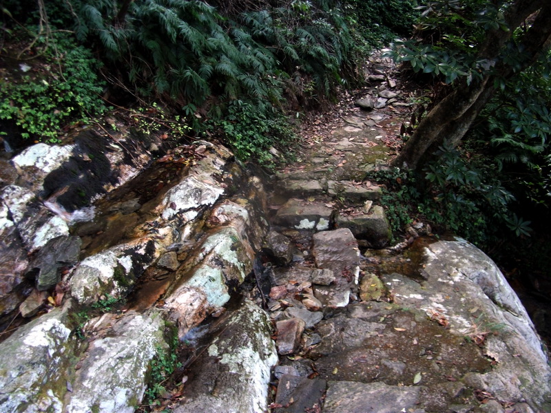 dscf0193.jpg