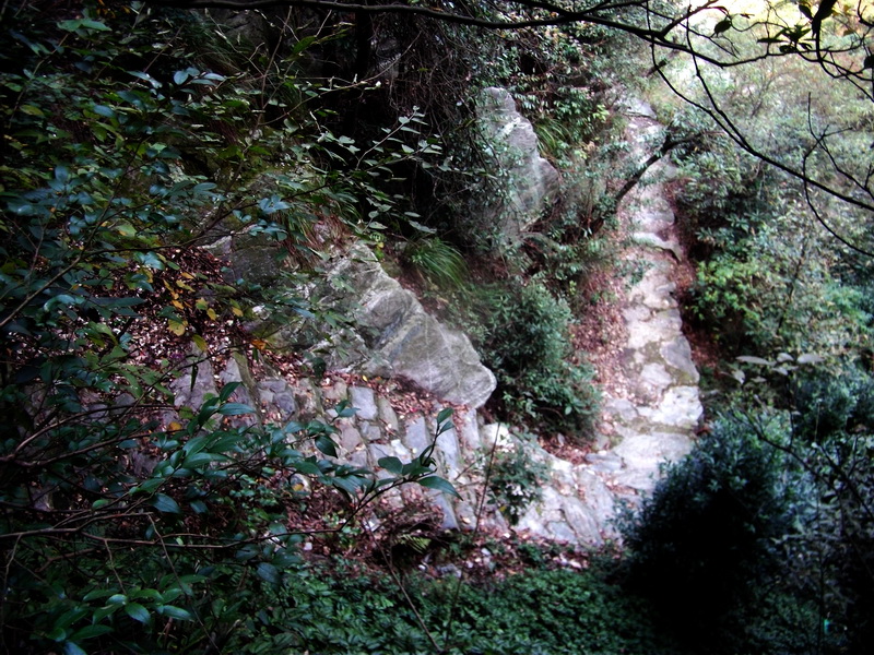 dscf0195.jpg