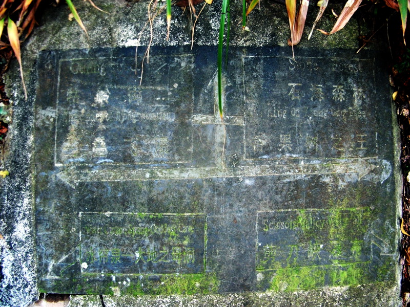 dscf0197.jpg