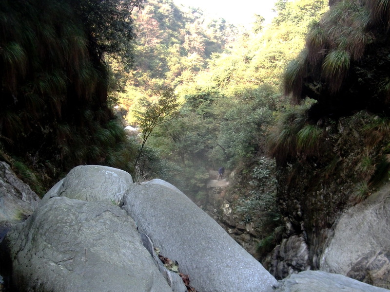 dscf0198.jpg