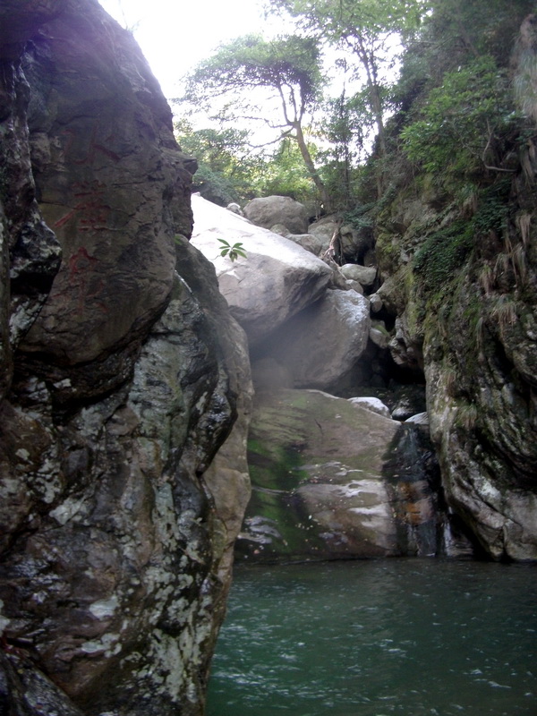 dscf0202.jpg