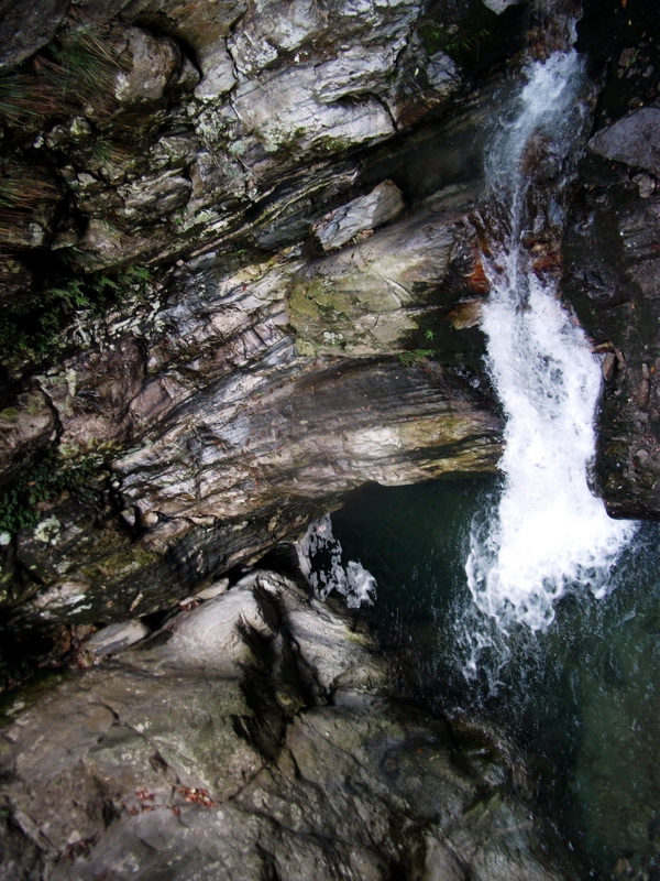 dscf0207.jpg