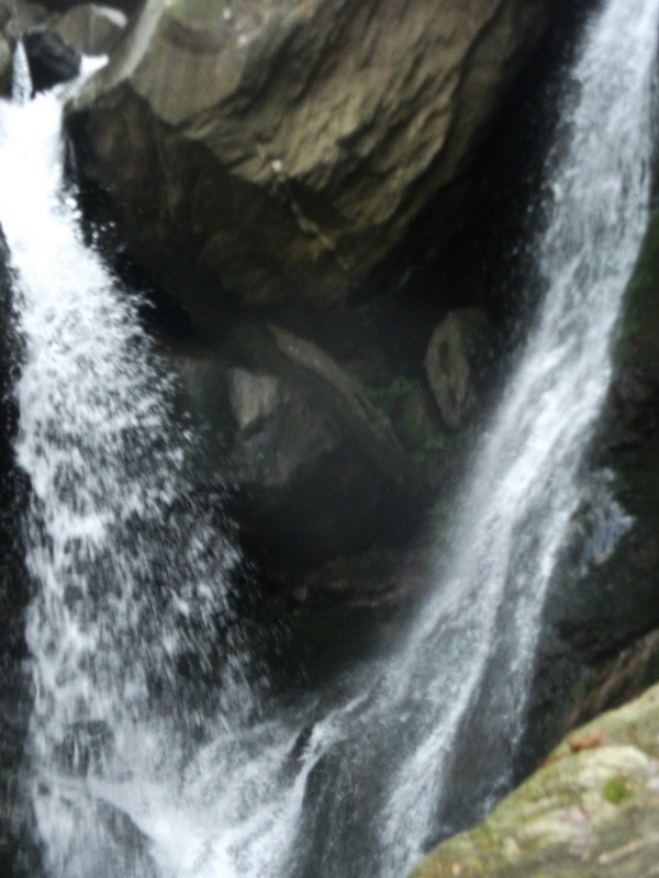 dscf0208.jpg