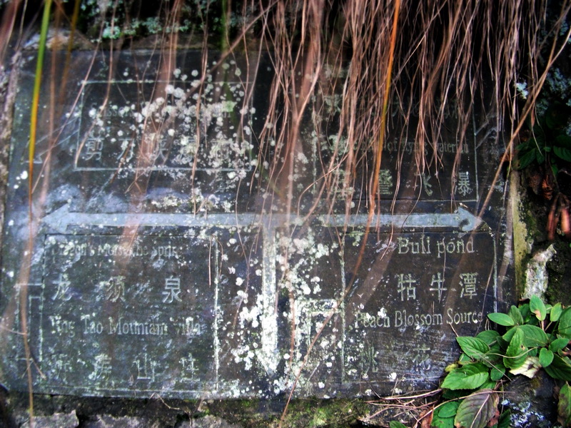 dscf0209.jpg