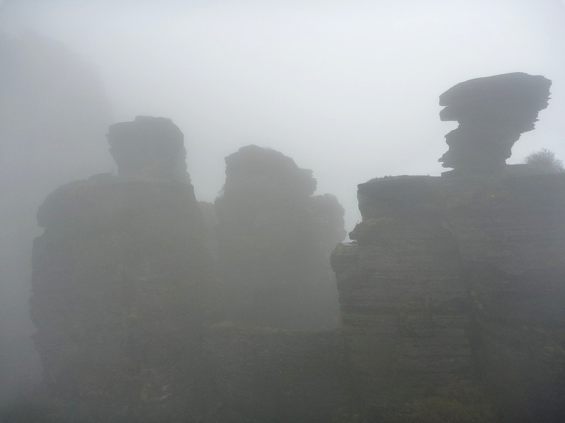 p1140066_.jpg