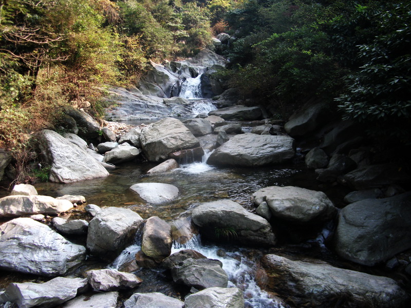 dscf0215.jpg