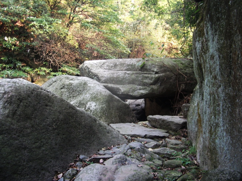 dscf0220.jpg