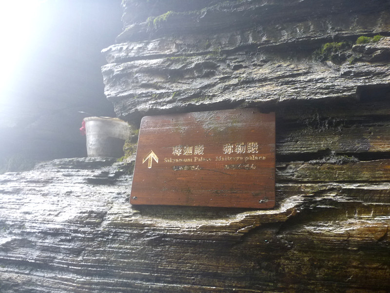 p1140081_.jpg
