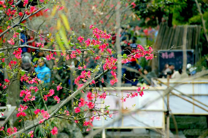 _mg_5409.jpg
