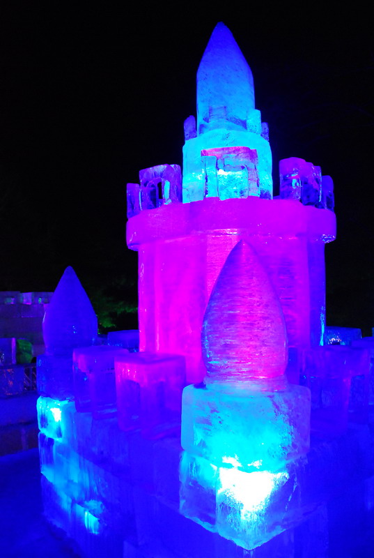 dsc_4316.jpg
