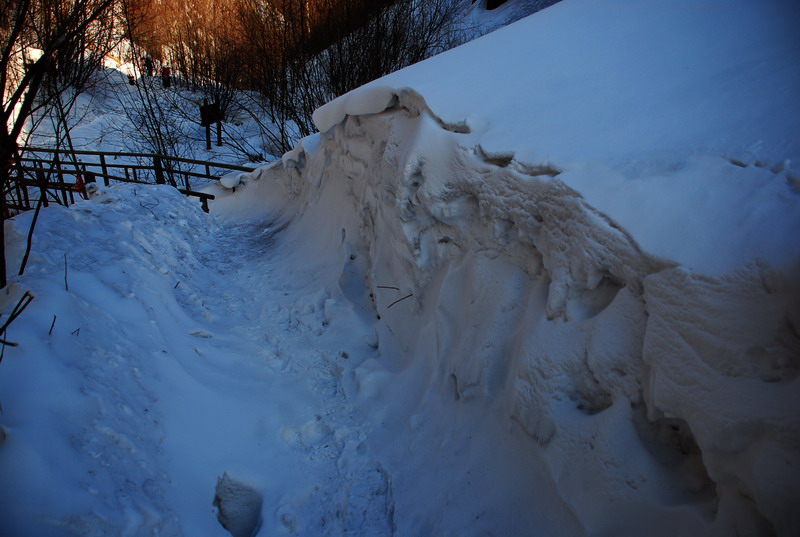 dsc_4415.jpg