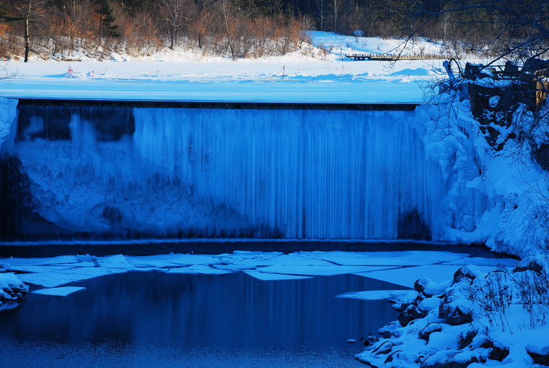 dsc_4265.jpg