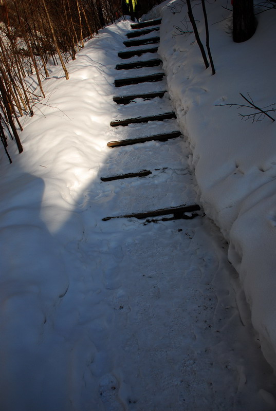 dsc_4431.jpg