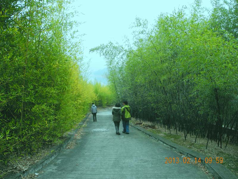 dscn3672.jpg