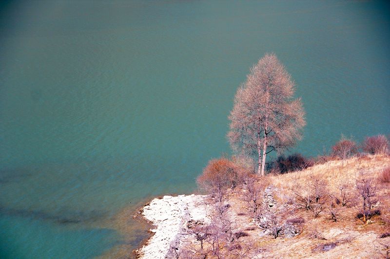 _mg_5502.jpg
