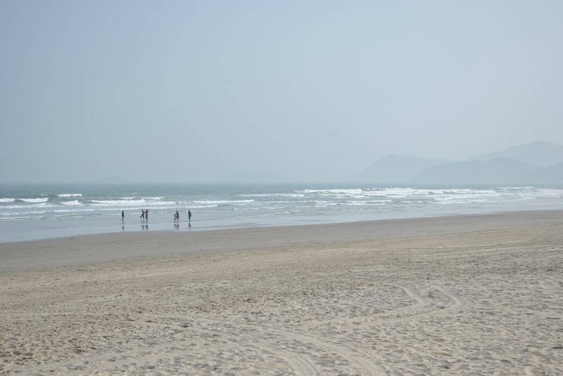 dsc_9022_С.jpg