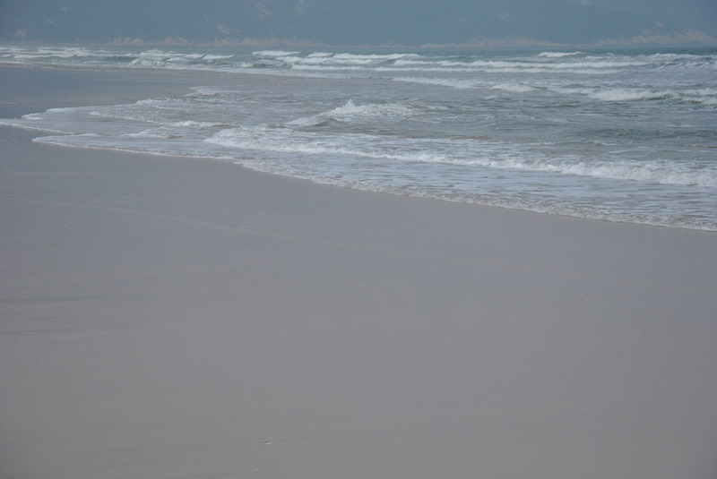 dsc_9052_С.jpg