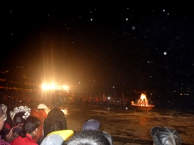 p1140004_.jpg