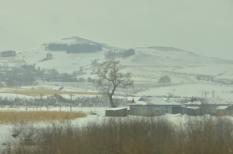 dsc_8239.jpg