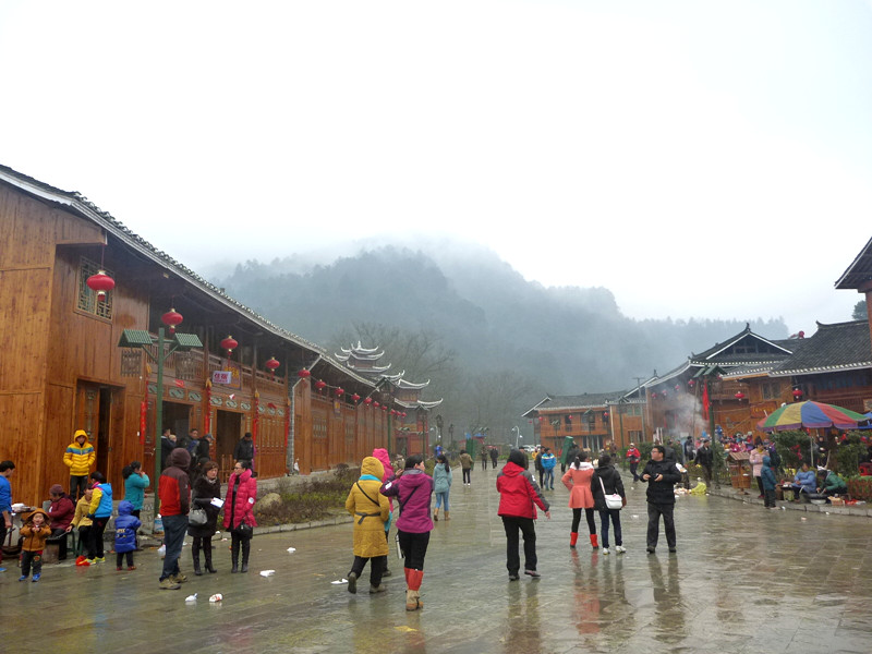 p1140112_.jpg
