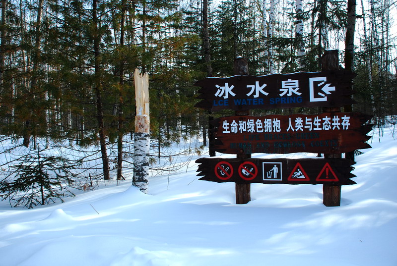 dsc_4509.jpg