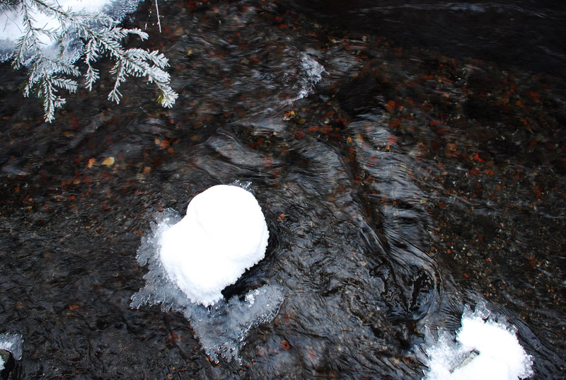 dsc_4546.jpg
