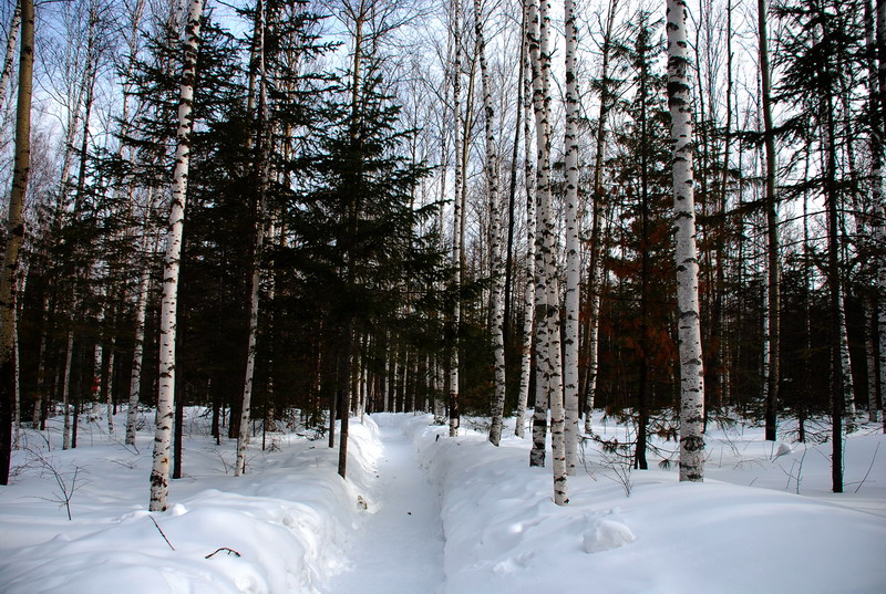 dsc_4609.jpg