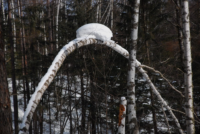 dsc_4601.jpg