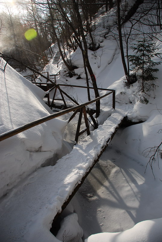 dsc_4452.jpg