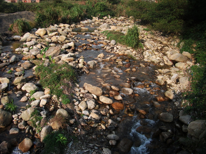 dscf0284.jpg