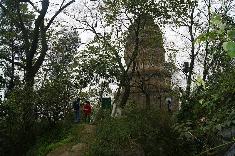 dsc09286.jpg