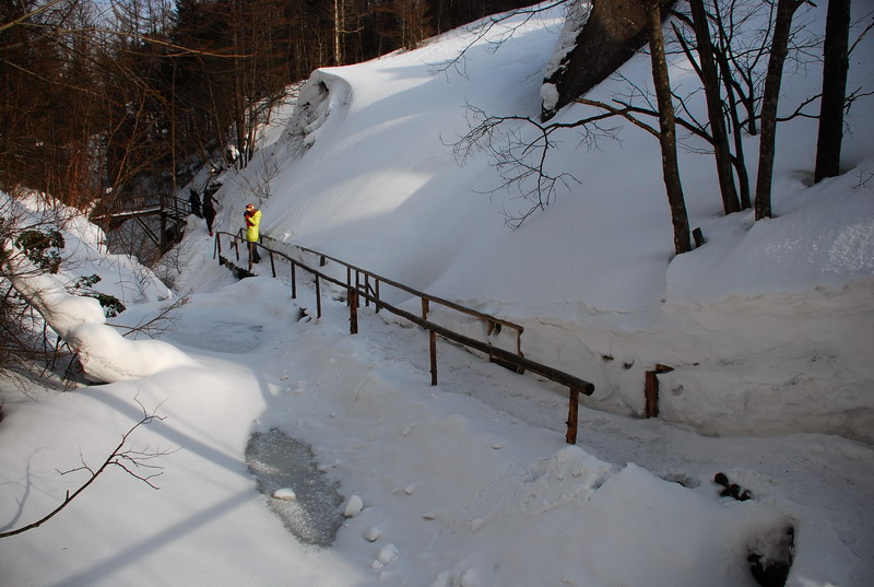 dsc_4458.jpg