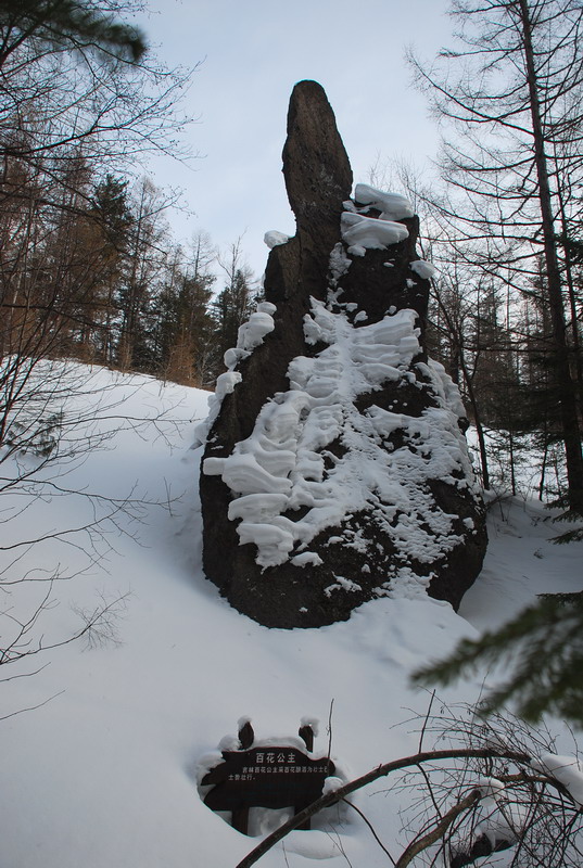dsc_4470.jpg