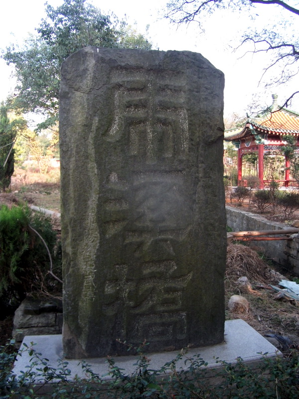 dscf0290.jpg