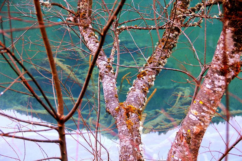 _mg_5616.jpg