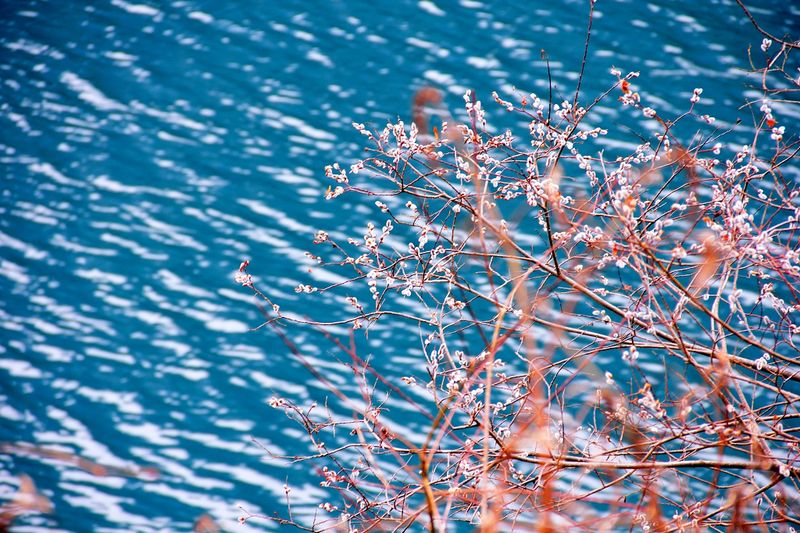 _mg_5652.jpg