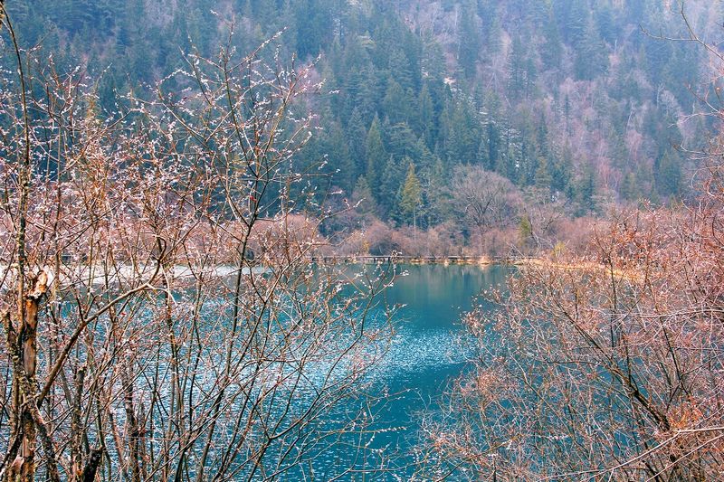 _mg_5662.jpg