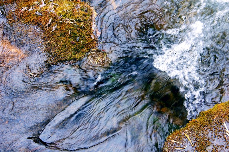 _mg_5688.jpg