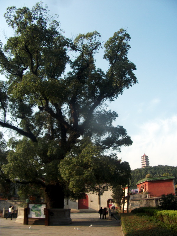dscf0291.jpg