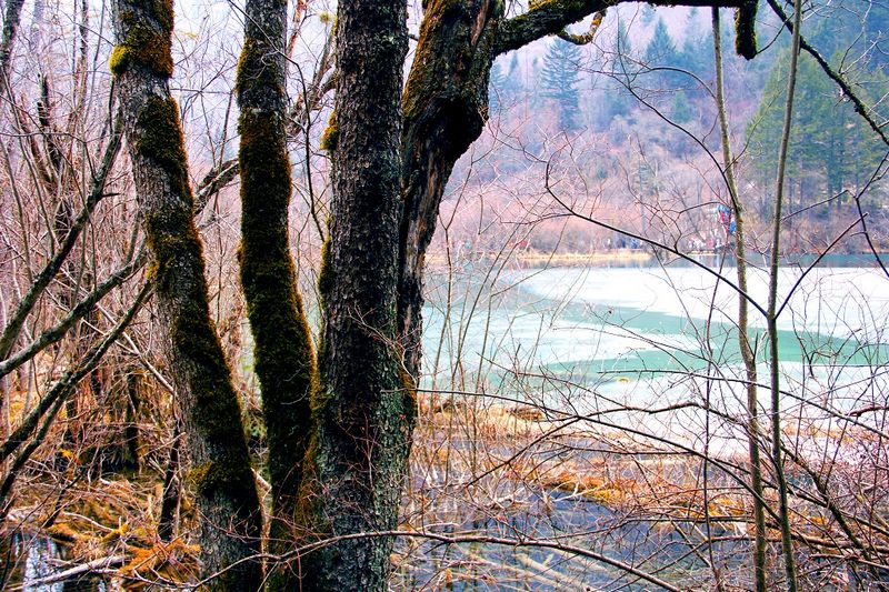 _mg_5853.jpg