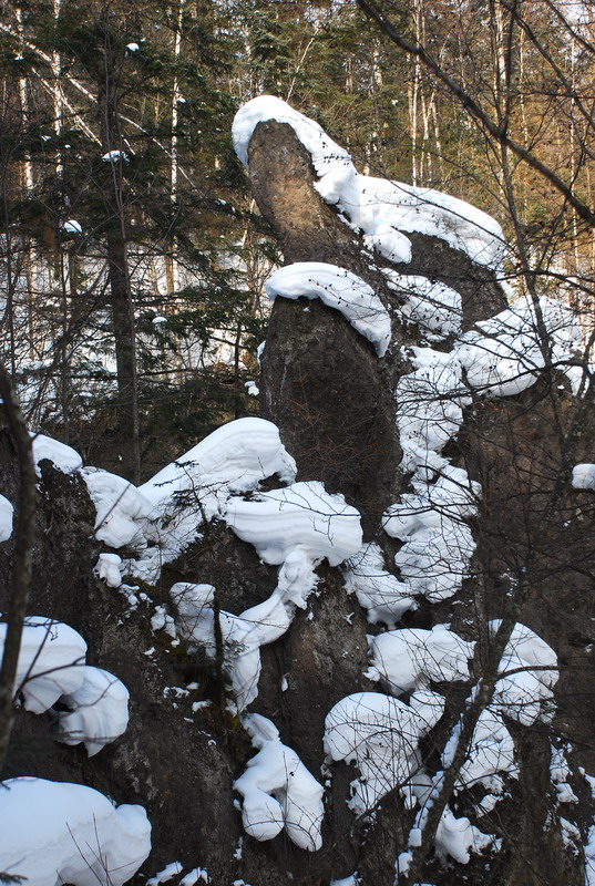 dsc_4479.jpg