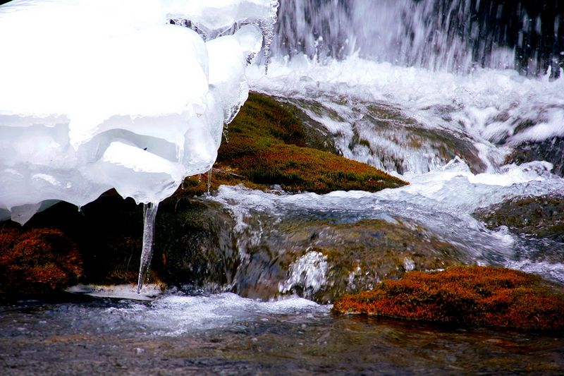 _mg_5808.jpg