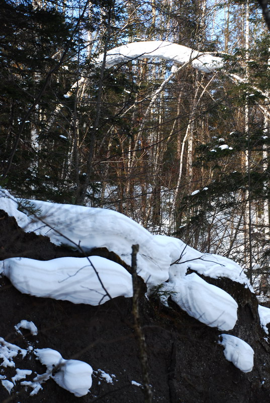 dsc_4480.jpg