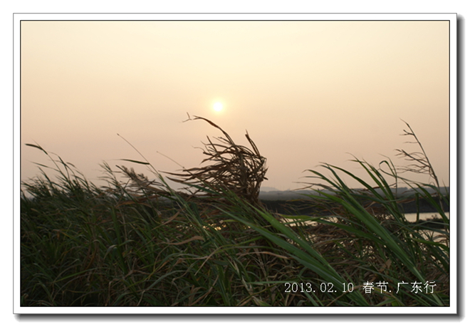 dsc03315.jpg