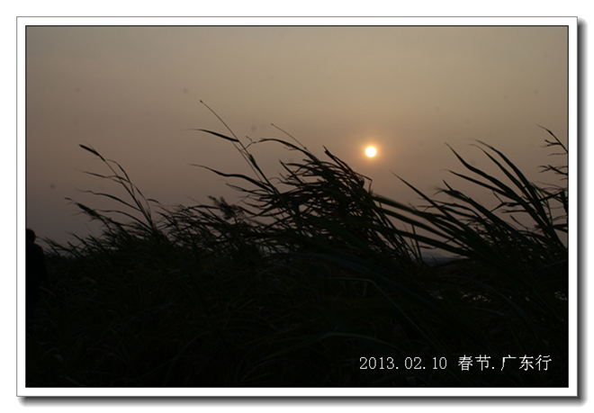dsc03316.jpg